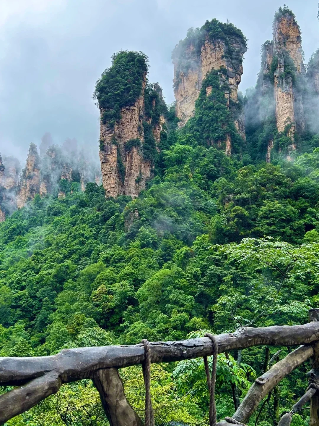 被张家界美到失语！此生必去的人间仙境