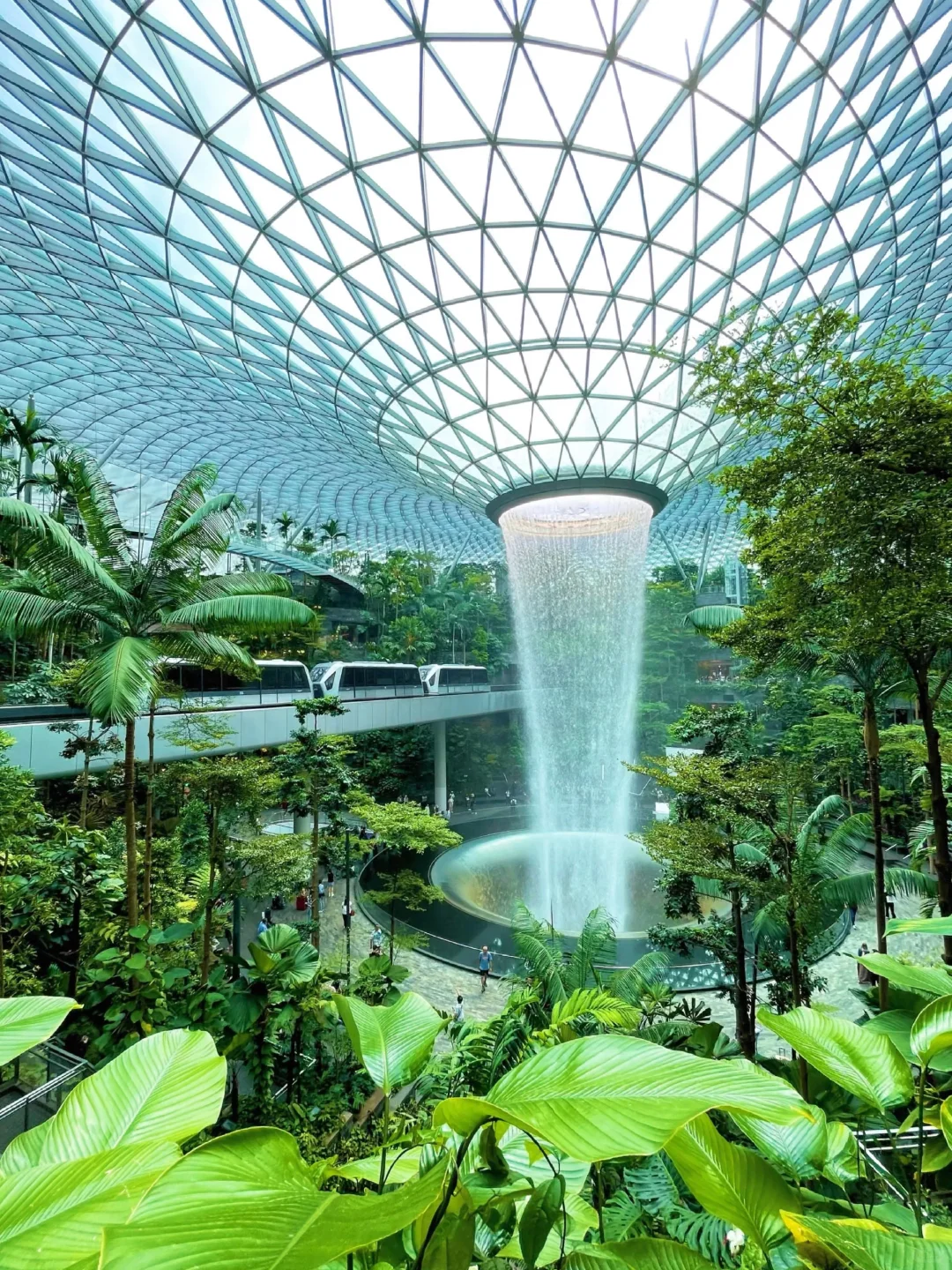 新加坡4天3夜｜人均5k玩转花园城市🌆