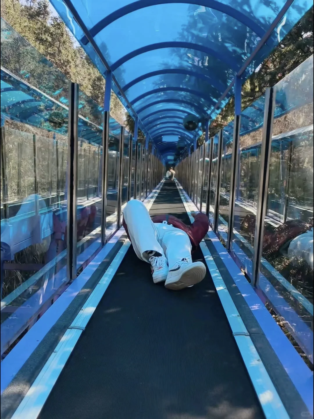 爱死这个比迪士尼更好玩的户外乐园了‼️