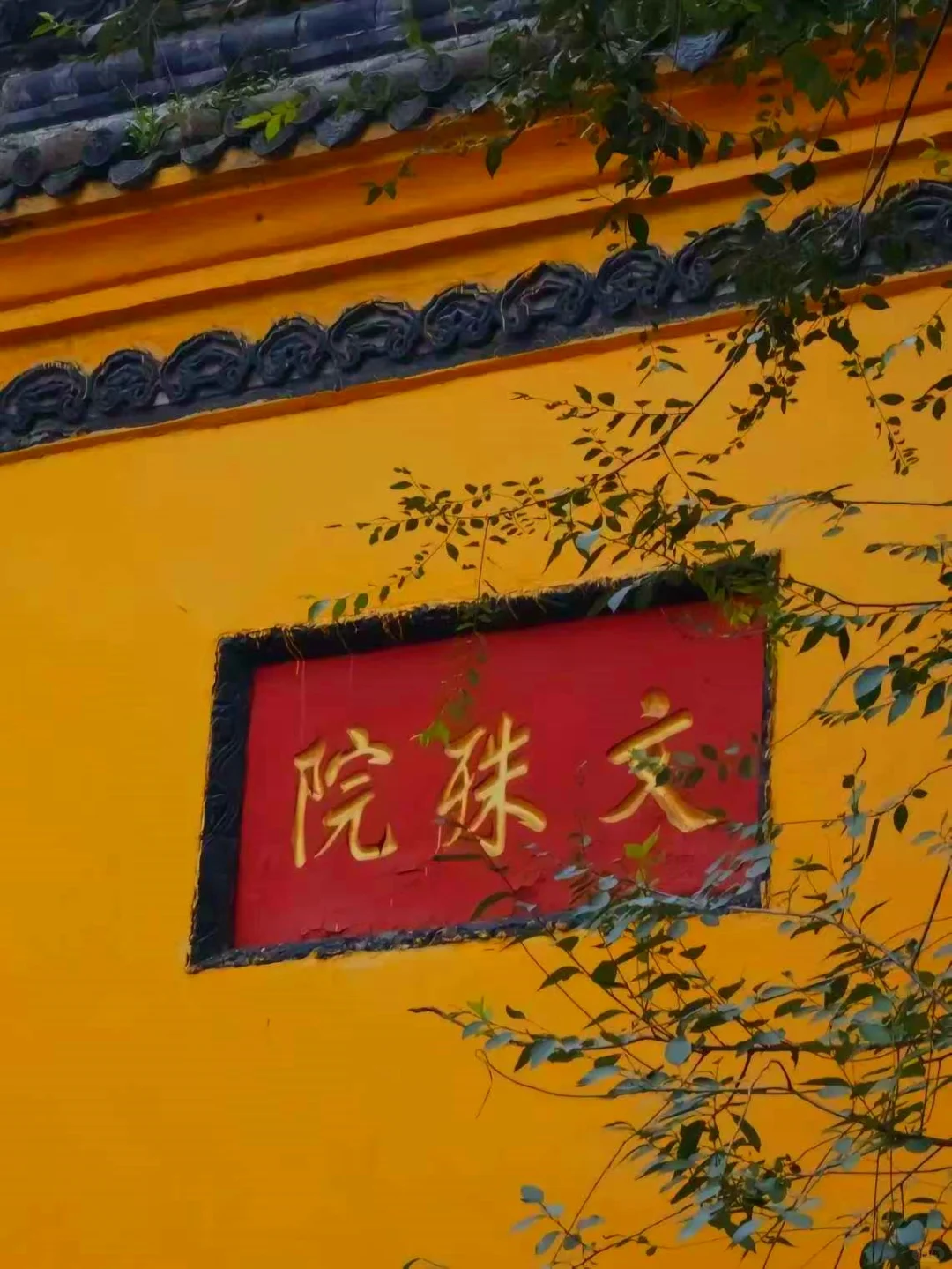 🌟成都 | 超全热门景点打卡攻略🌟