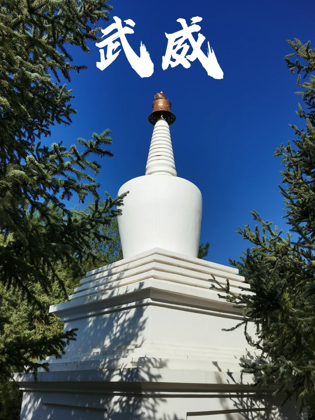 国庆冷门目的地—甘肃武威（攻略已出）