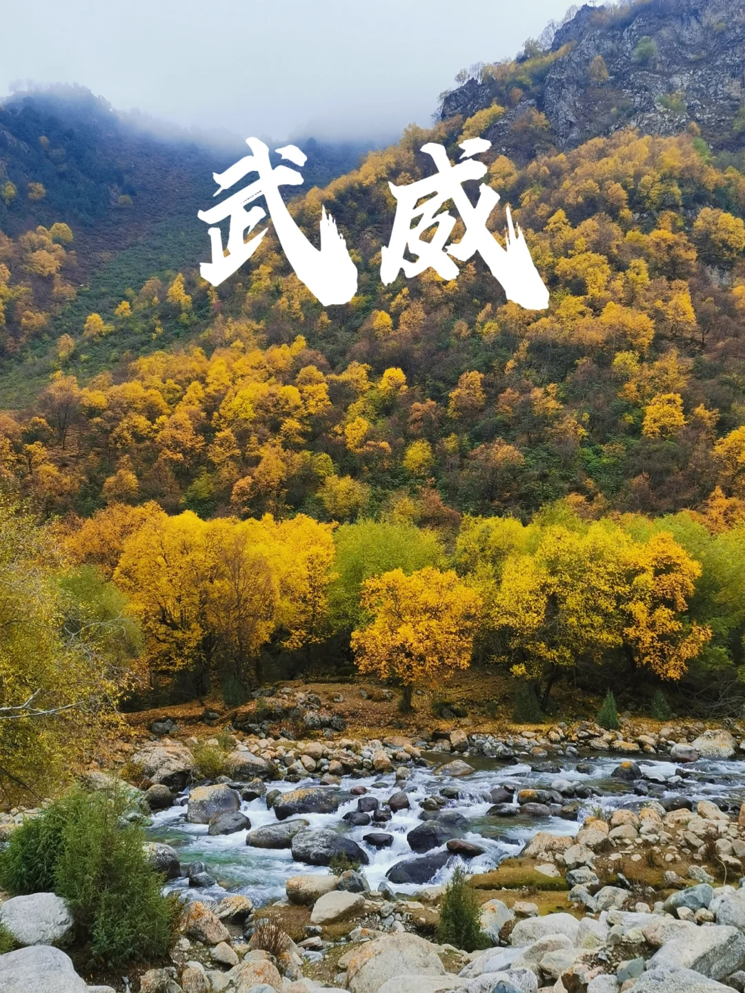 国庆冷门目的地—甘肃武威（攻略已出）