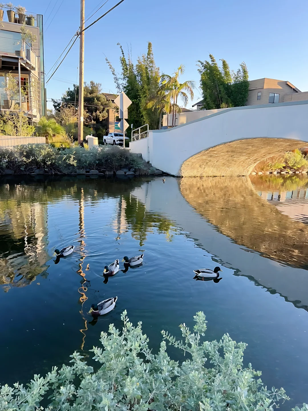 洛杉矶3月这七个免费景点!少去一个都损失