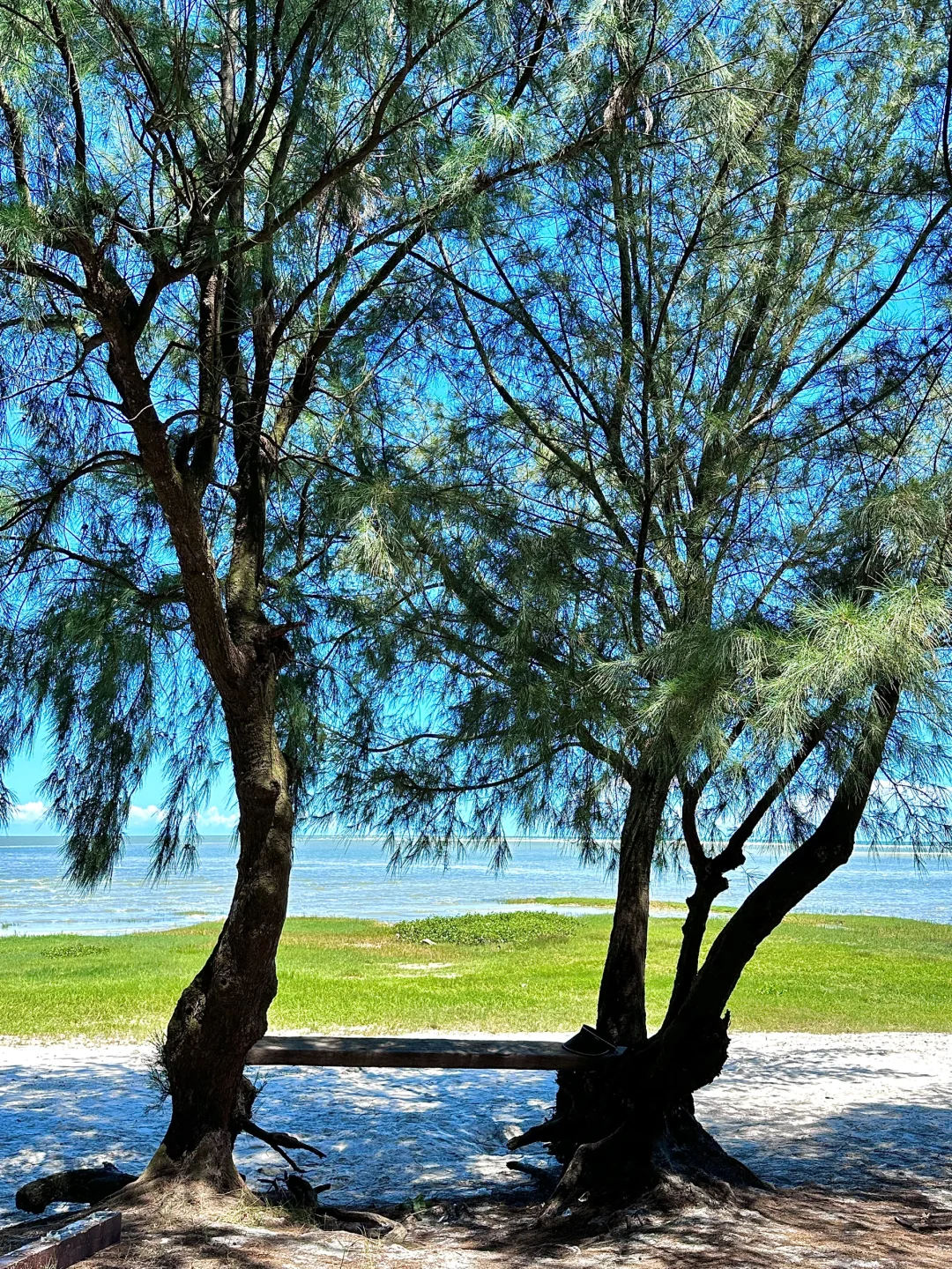 震惊😱这么全的北海景点大合集（live版）