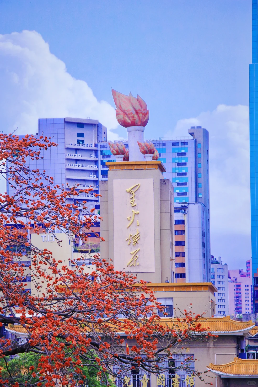 这是一个透过窗户看木棉花开的春天🌺