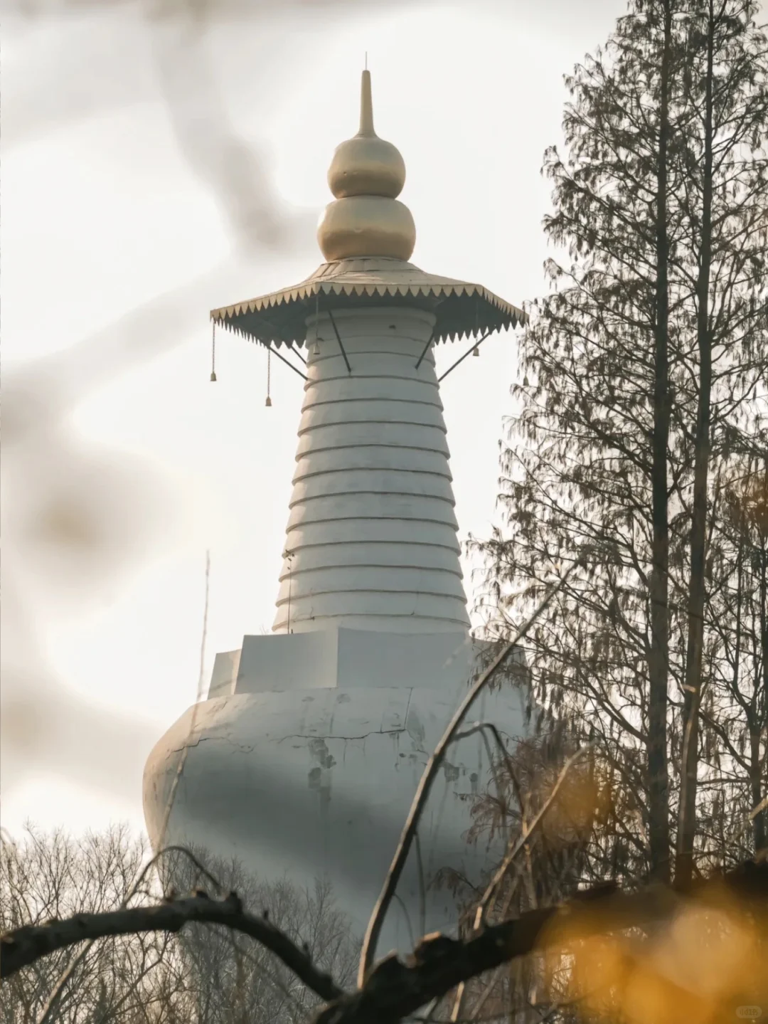 第一次带爸妈去扬州,去看烟雨江南