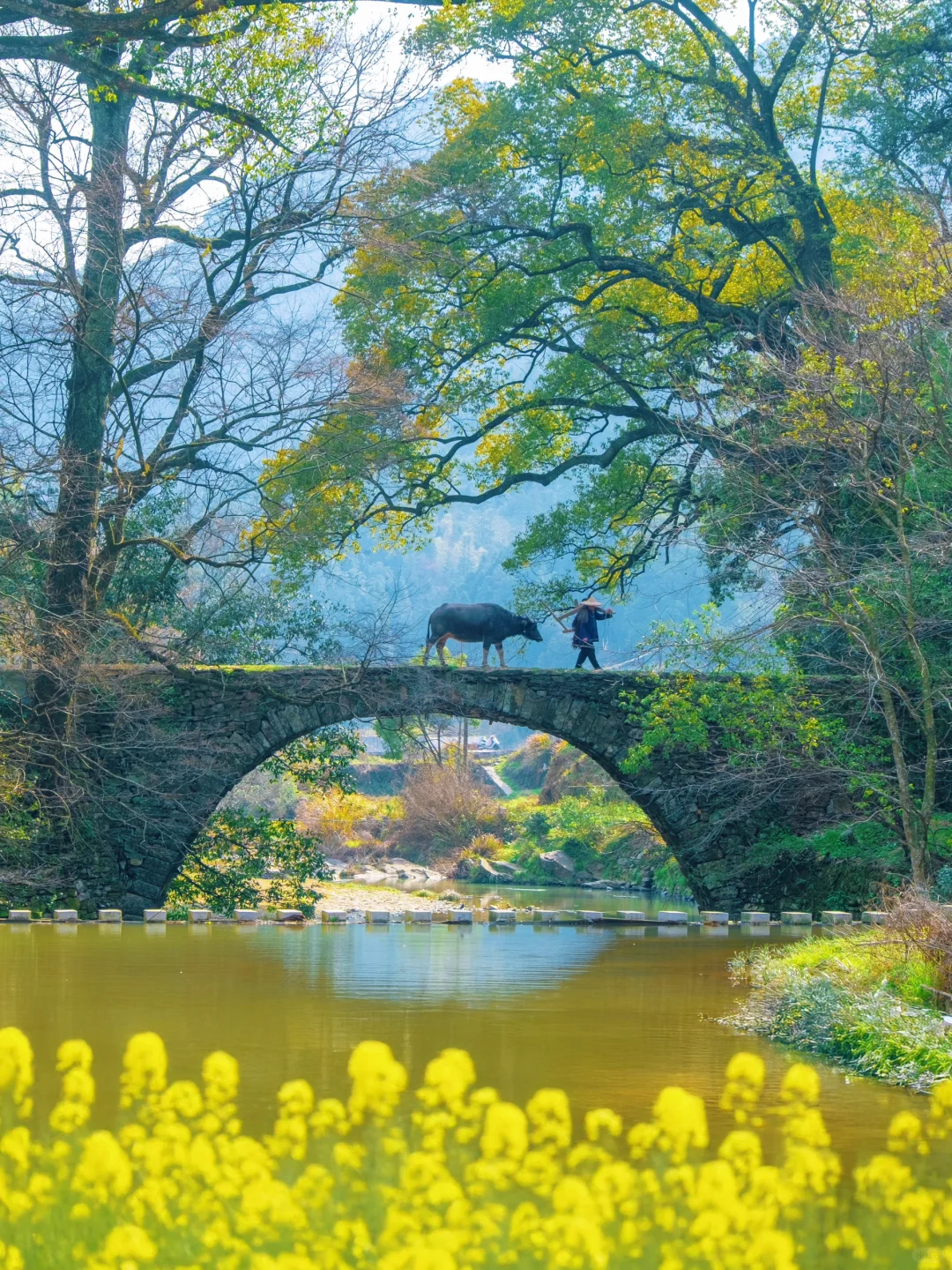 比起景德镇，我更爱国家地理推荐的这个小城