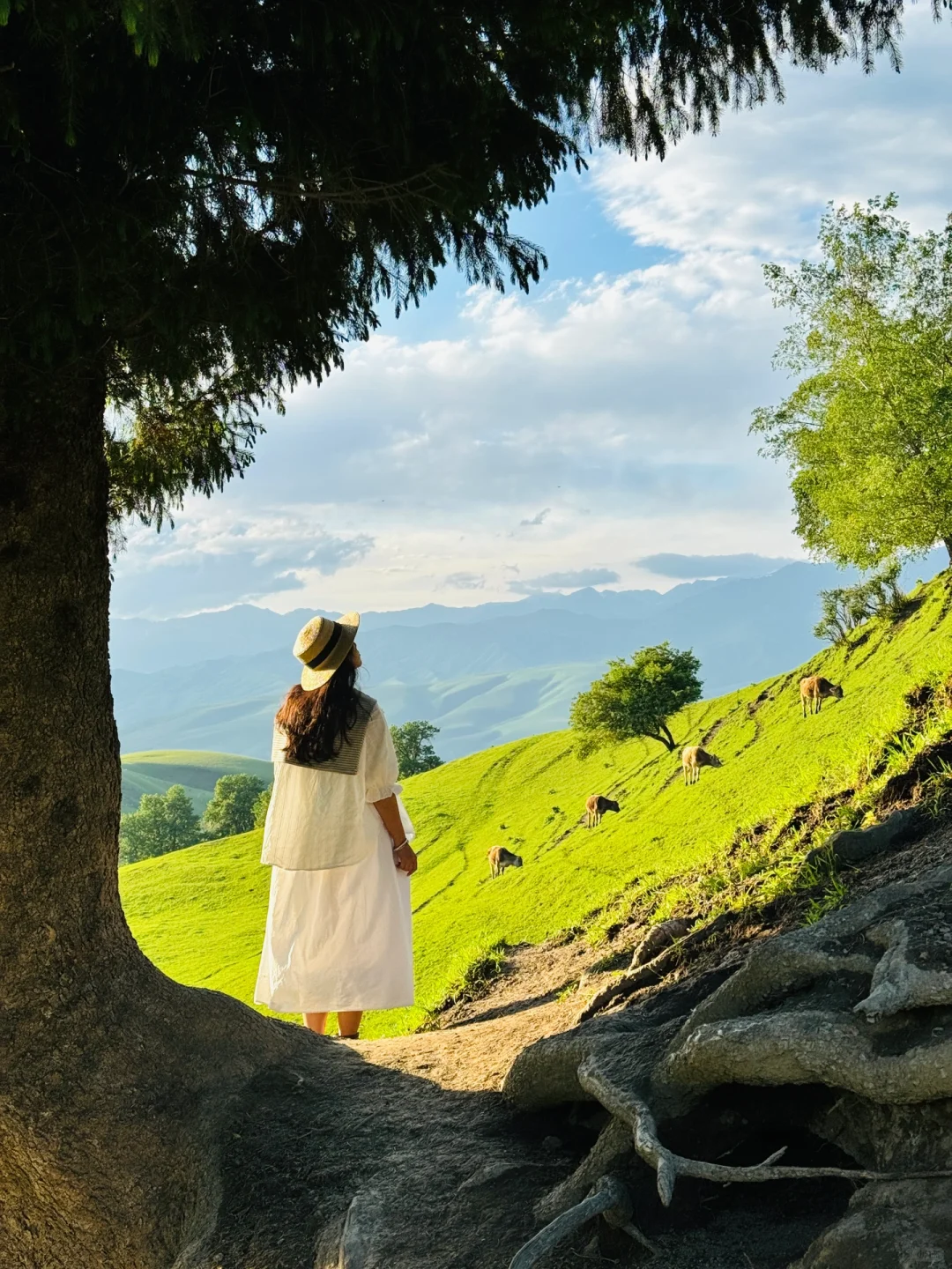 答应我‼️这辈子一定不要放弃去新疆🐮🐑……