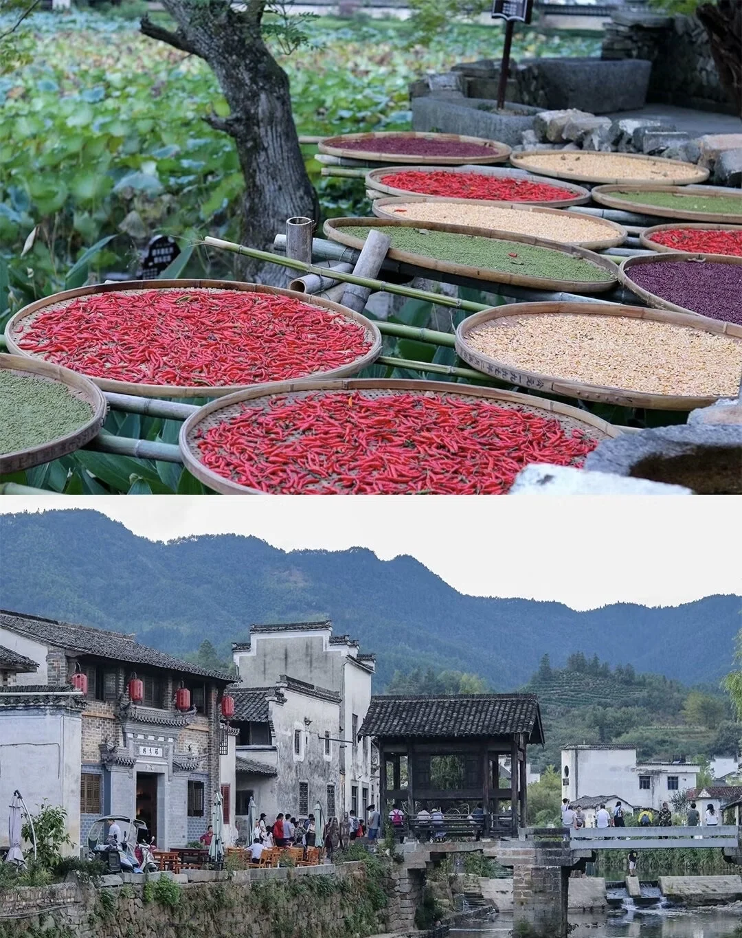 上海出发4.4-4.6 黄山马尔代夫 太平湖 呈坎