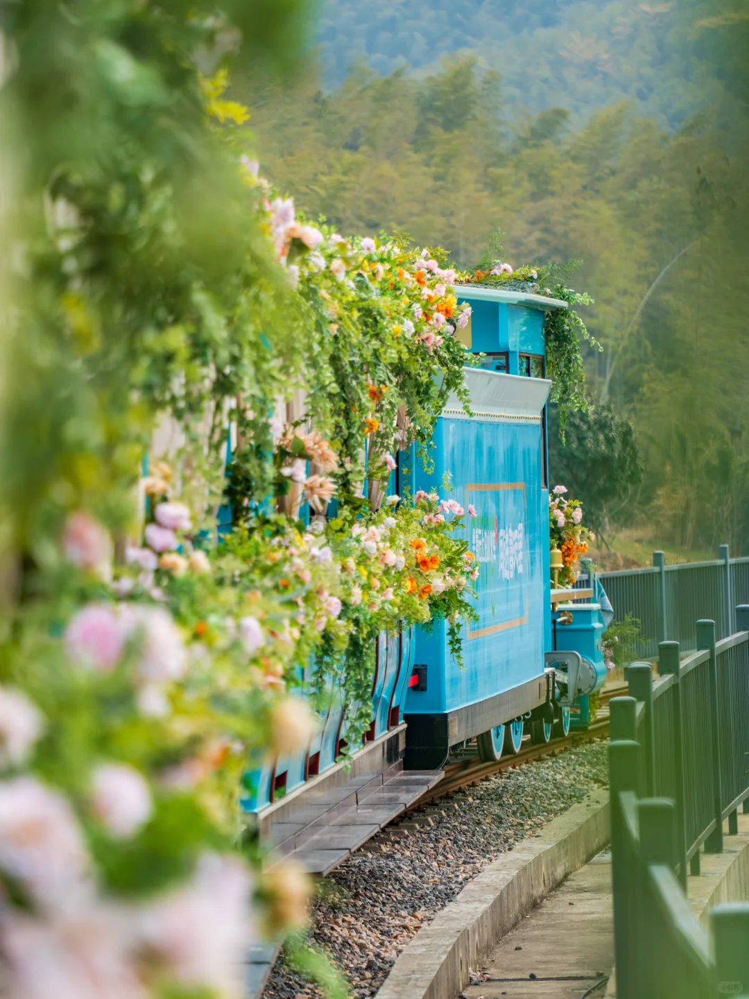 迄今为止，我最喜欢的江南小镇出现了‼️
