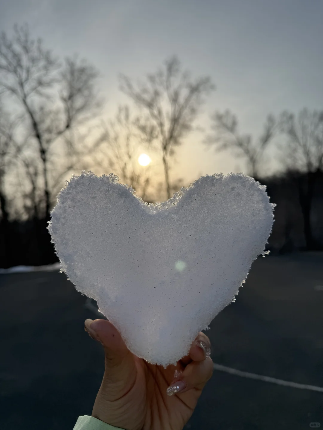 假装是游客的一下午🚶🏻‍♀️