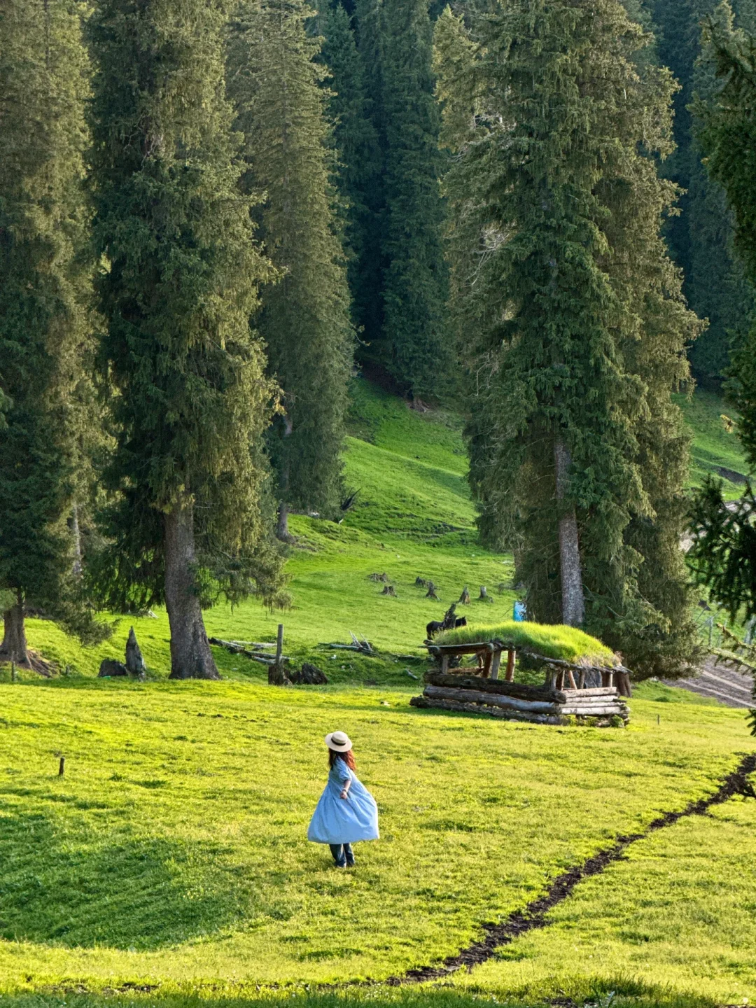 答应我‼️这辈子一定不要放弃去新疆🐮🐑……