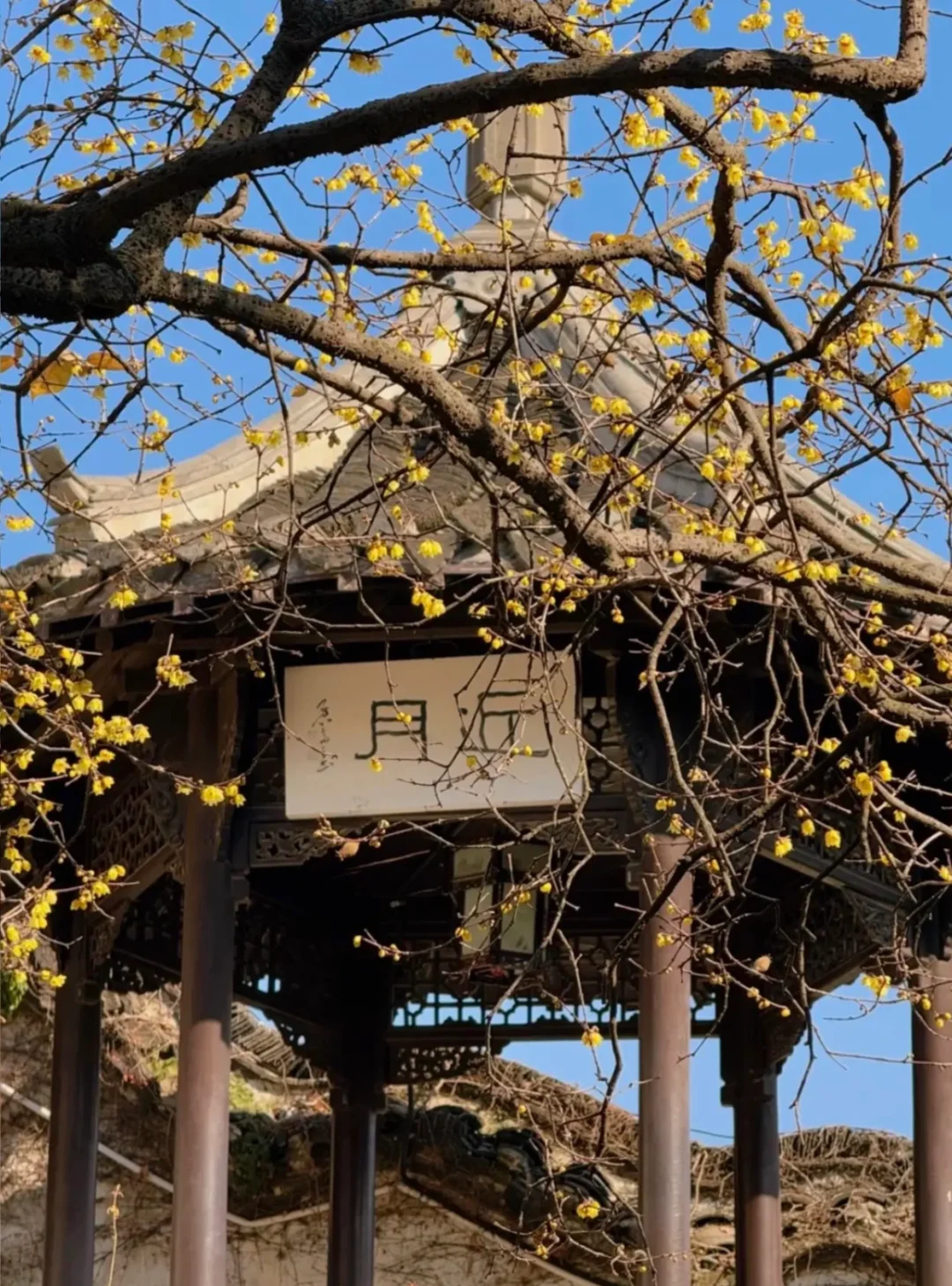 第一次带爸妈去扬州,去看烟雨江南