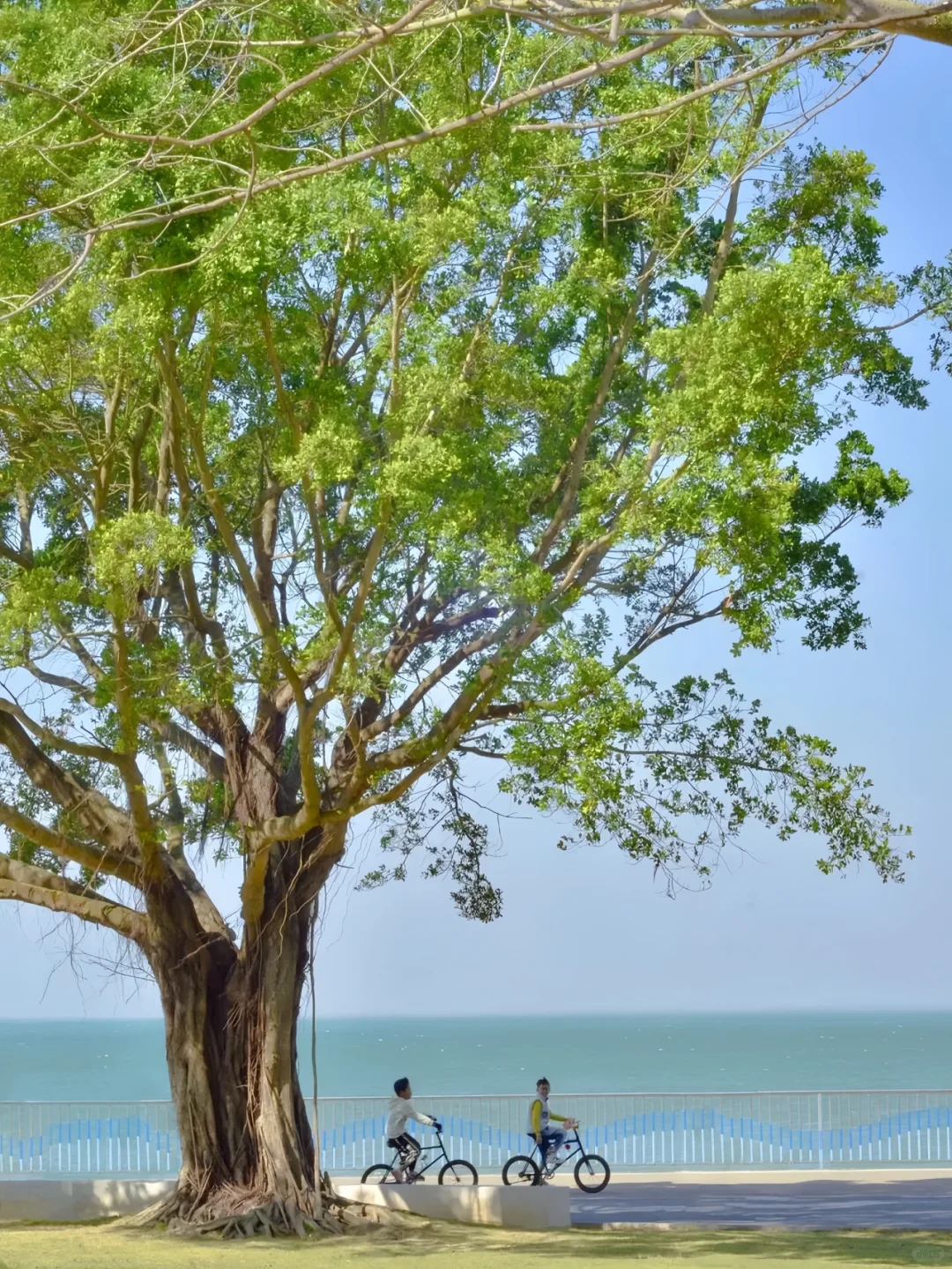 五天时间玩转，桂林+北海+涠洲岛