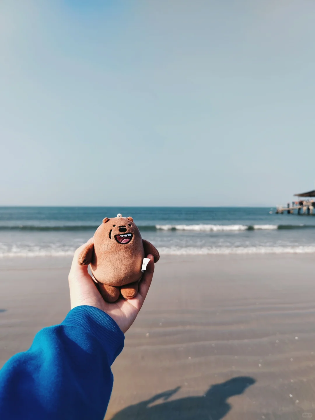 带着大大🐻去旅游