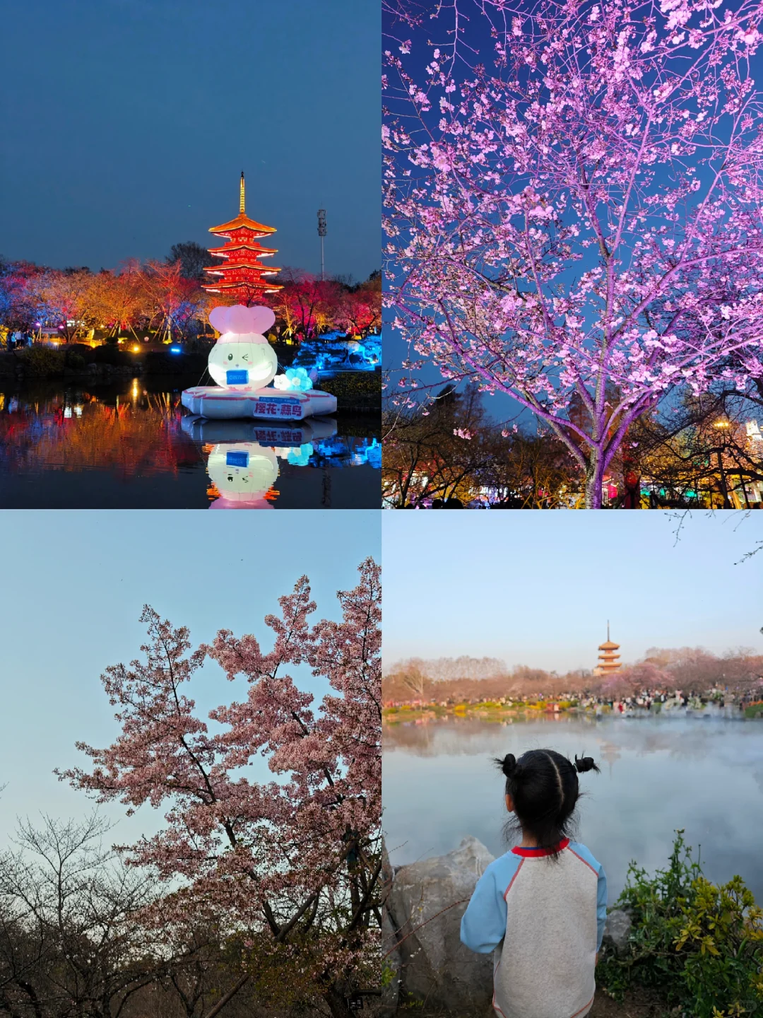 武汉亲子博主| 东湖樱园进园交通避坑指南