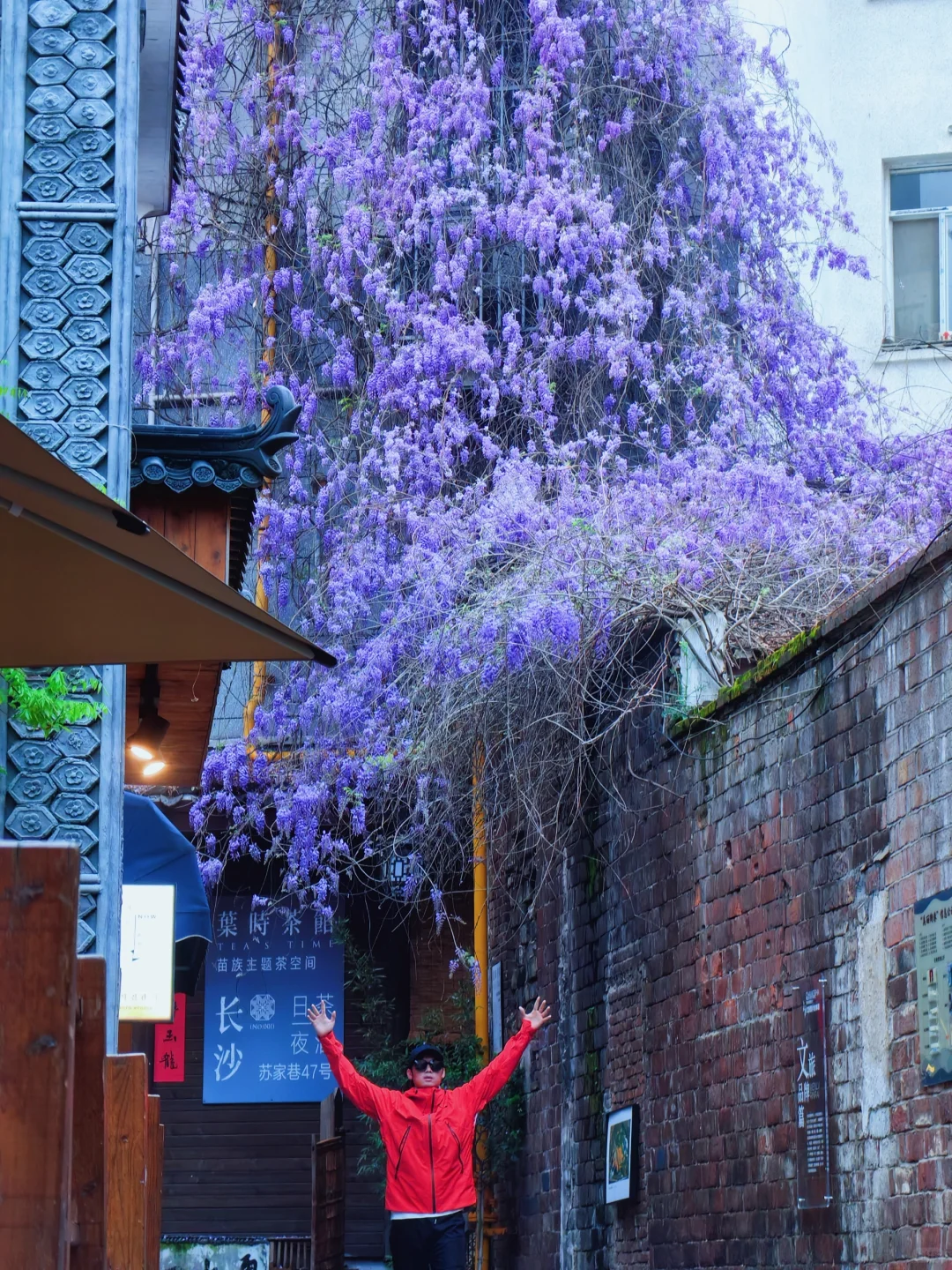 长沙十日晴！接下来是万万次的春和景明～