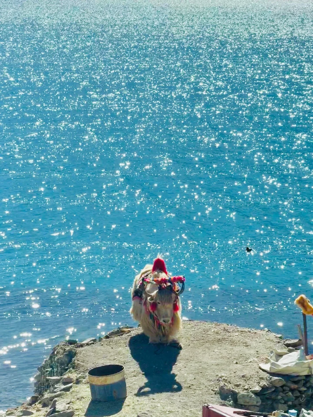 总要去趟西藏吧！赴一场心灵之约