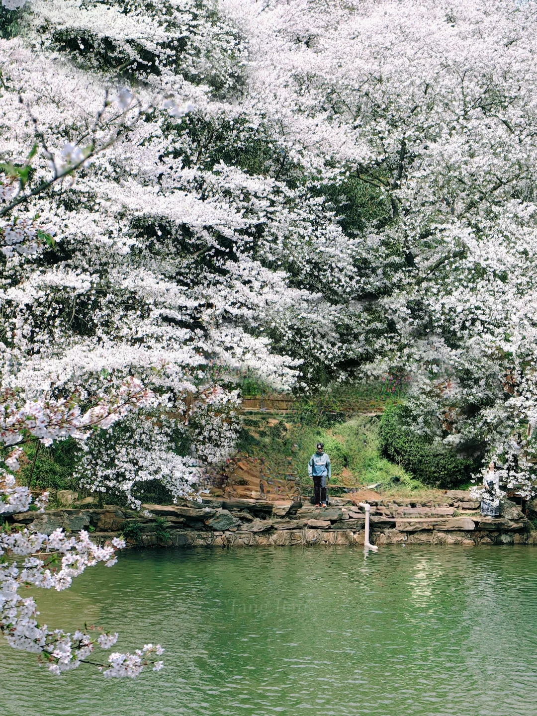 长沙十日晴！接下来是万万次的春和景明～