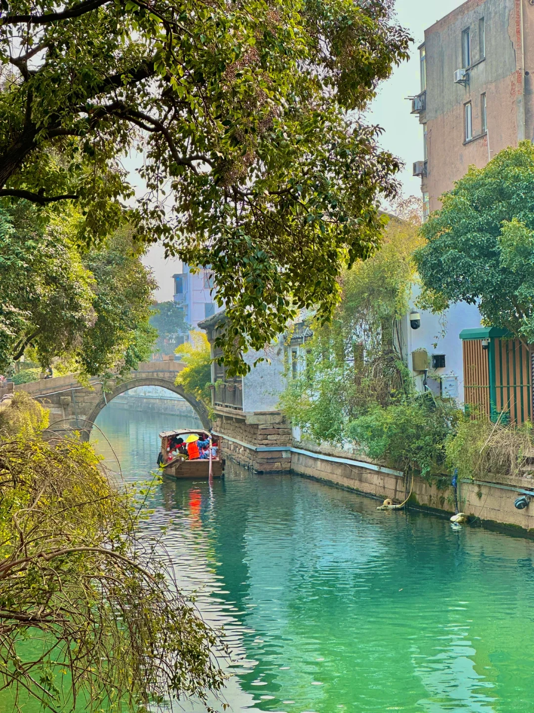 苏州！我人麻了😭