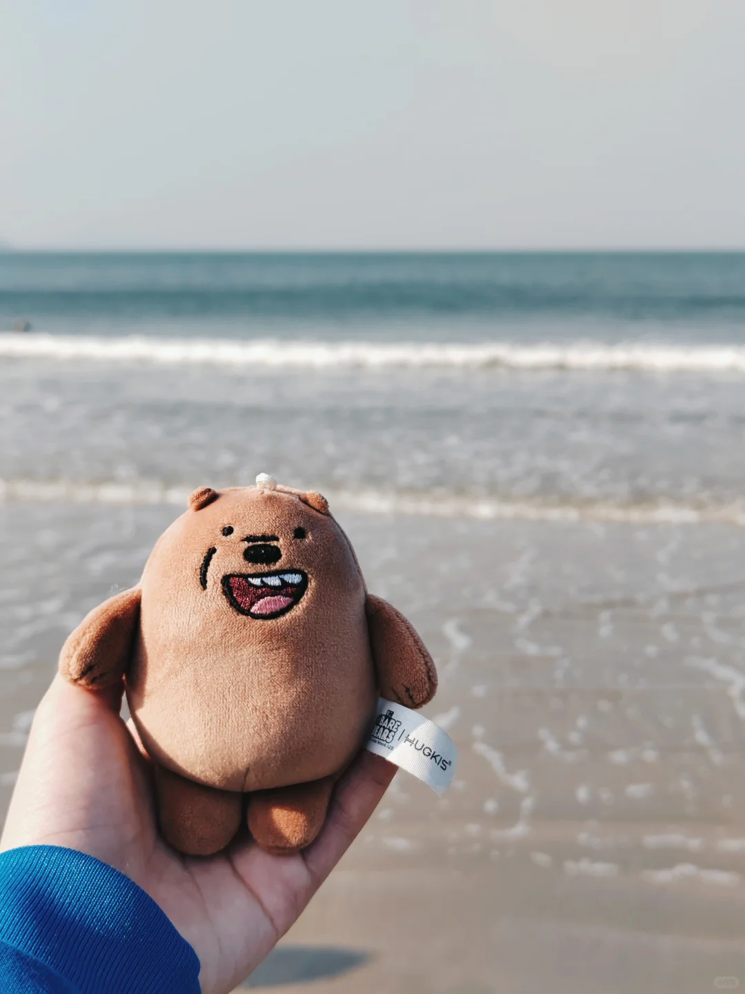 带着大大🐻去旅游