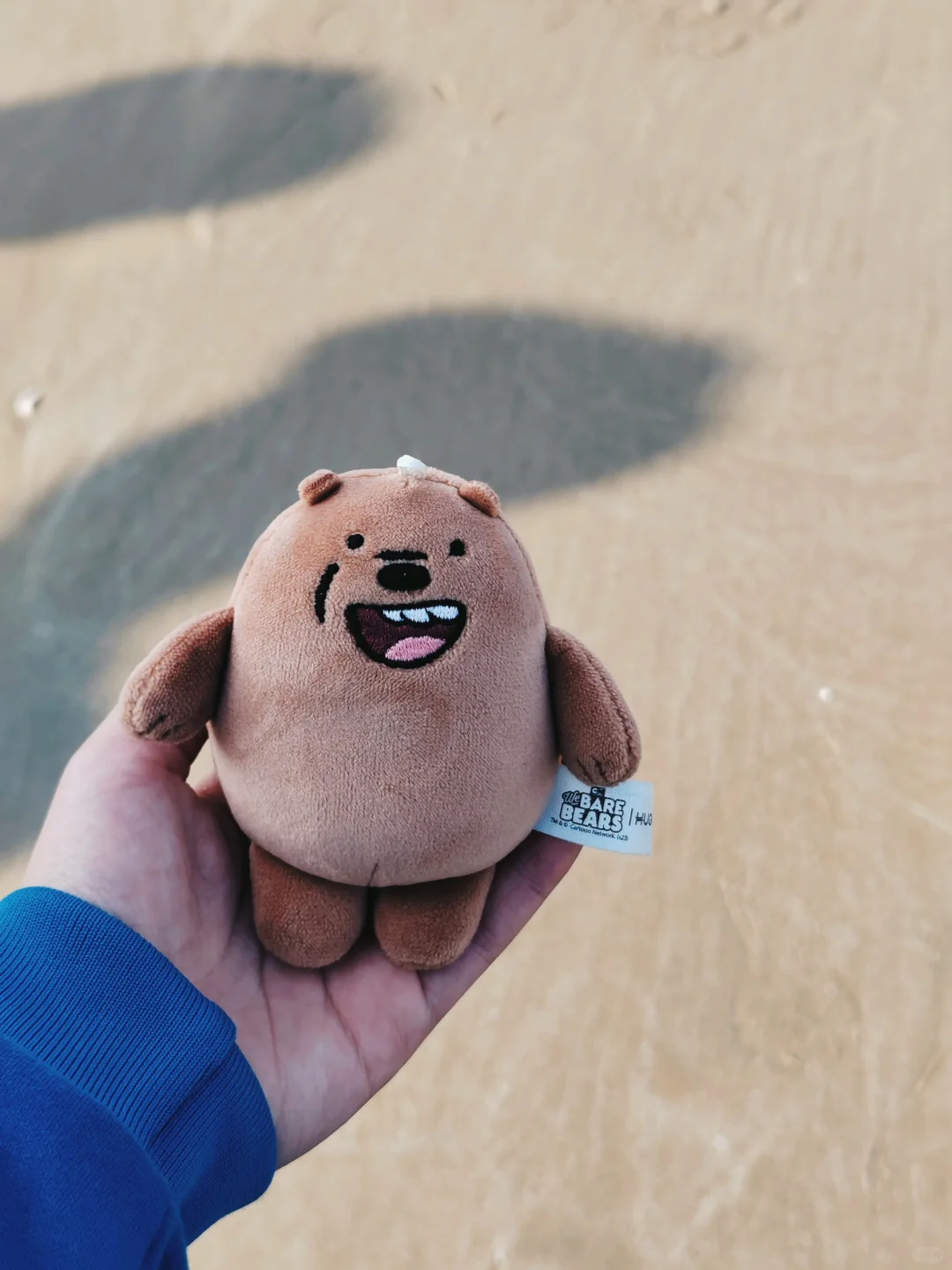 带着大大🐻去旅游