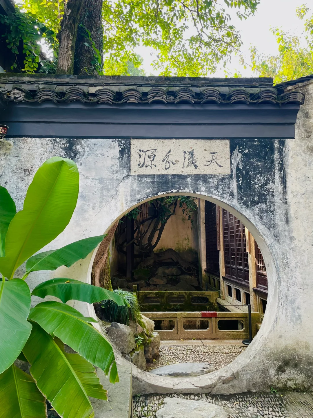 迄今为止，我最喜欢的旅游城市出现了···