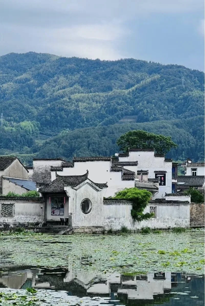 上海出发4.4-4.6 黄山马尔代夫 太平湖 呈坎