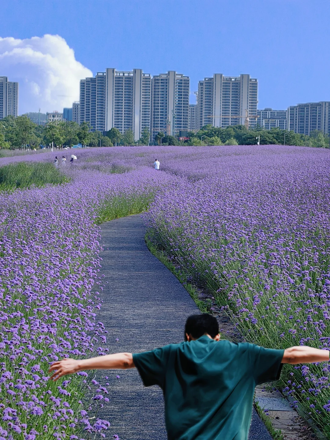 长沙十日晴！接下来是万万次的春和景明～