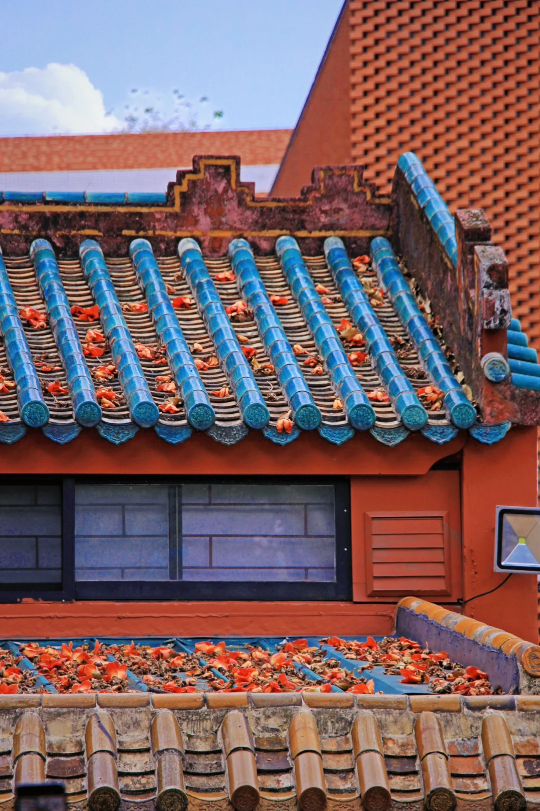 这是一个透过窗户看木棉花开的春天🌺