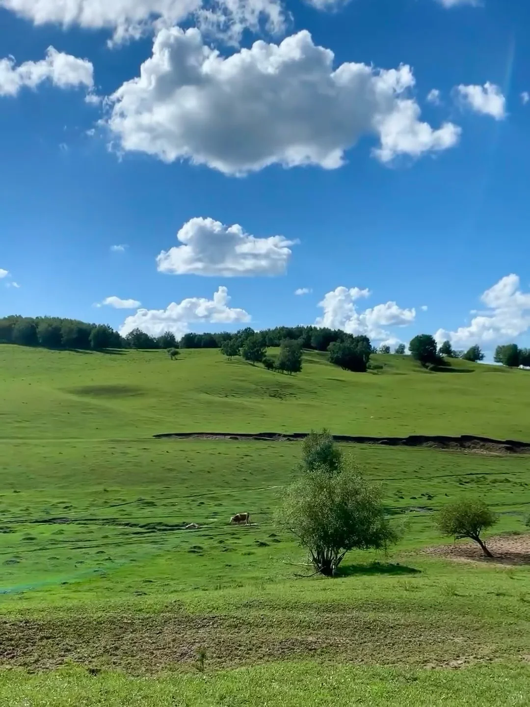 以为新疆伊犁已经够美了！直到我去了……