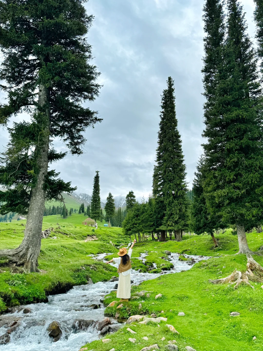 答应我‼️这辈子一定不要放弃去新疆🐮🐑……