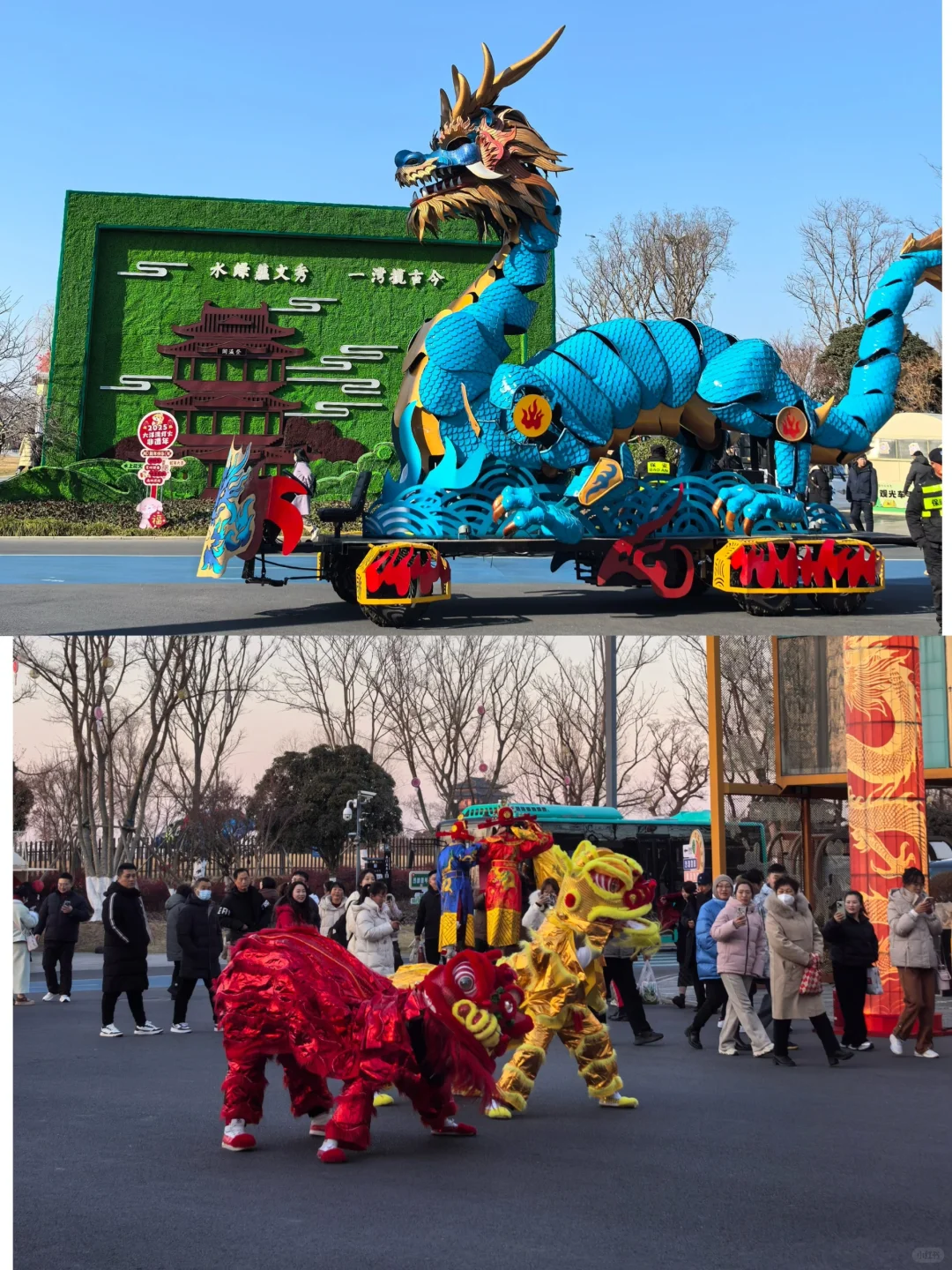 盐城溜娃圣地||大洋湾生态旅游景区🍃