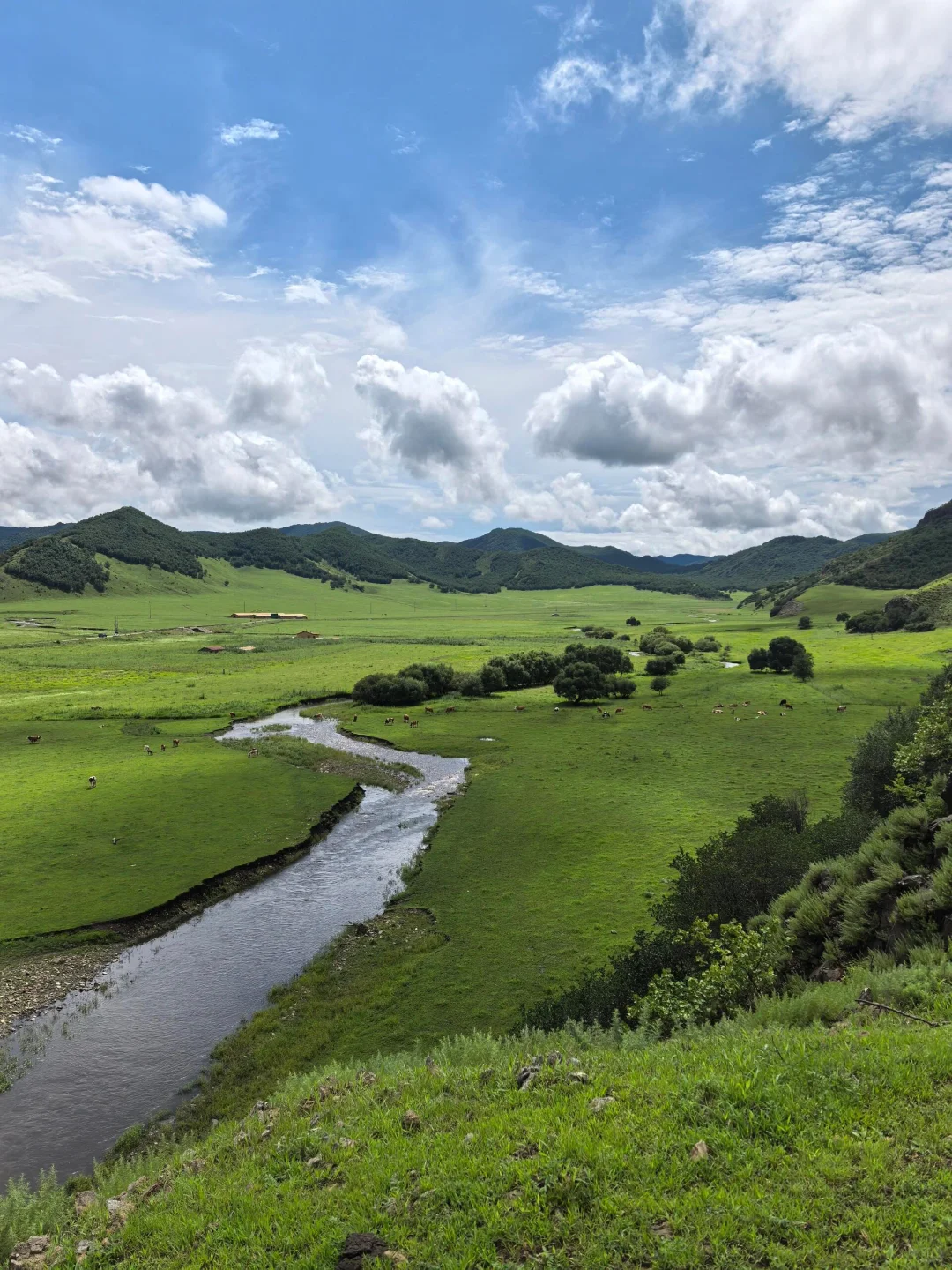 你以为阿尔山只是个小众景点？直到我亲眼看