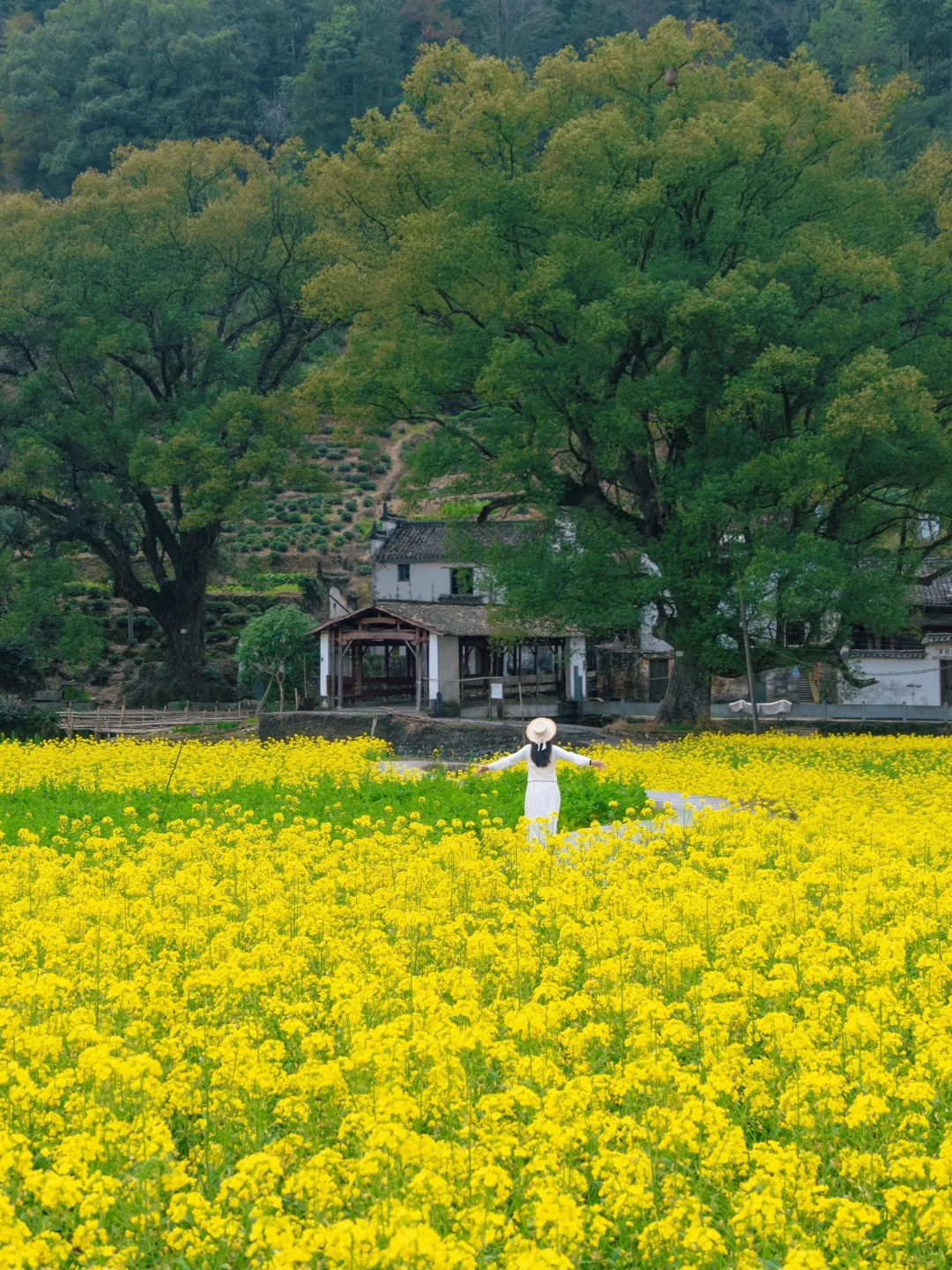 比起景德镇，我更爱国家地理推荐的这个小城
