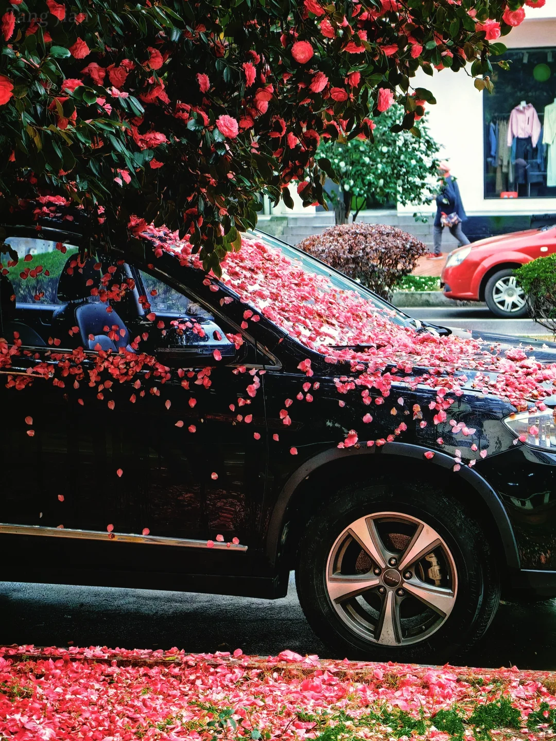 长沙十日晴！接下来是万万次的春和景明～