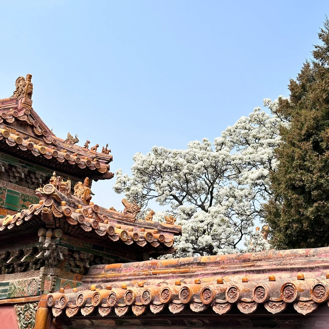 总要去趟北京吧|吐血整理北京景点攻略✨