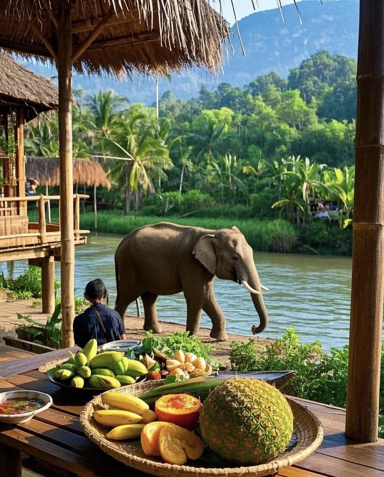 西双版纳，劝你们别来，怕你们来了不想走！！！