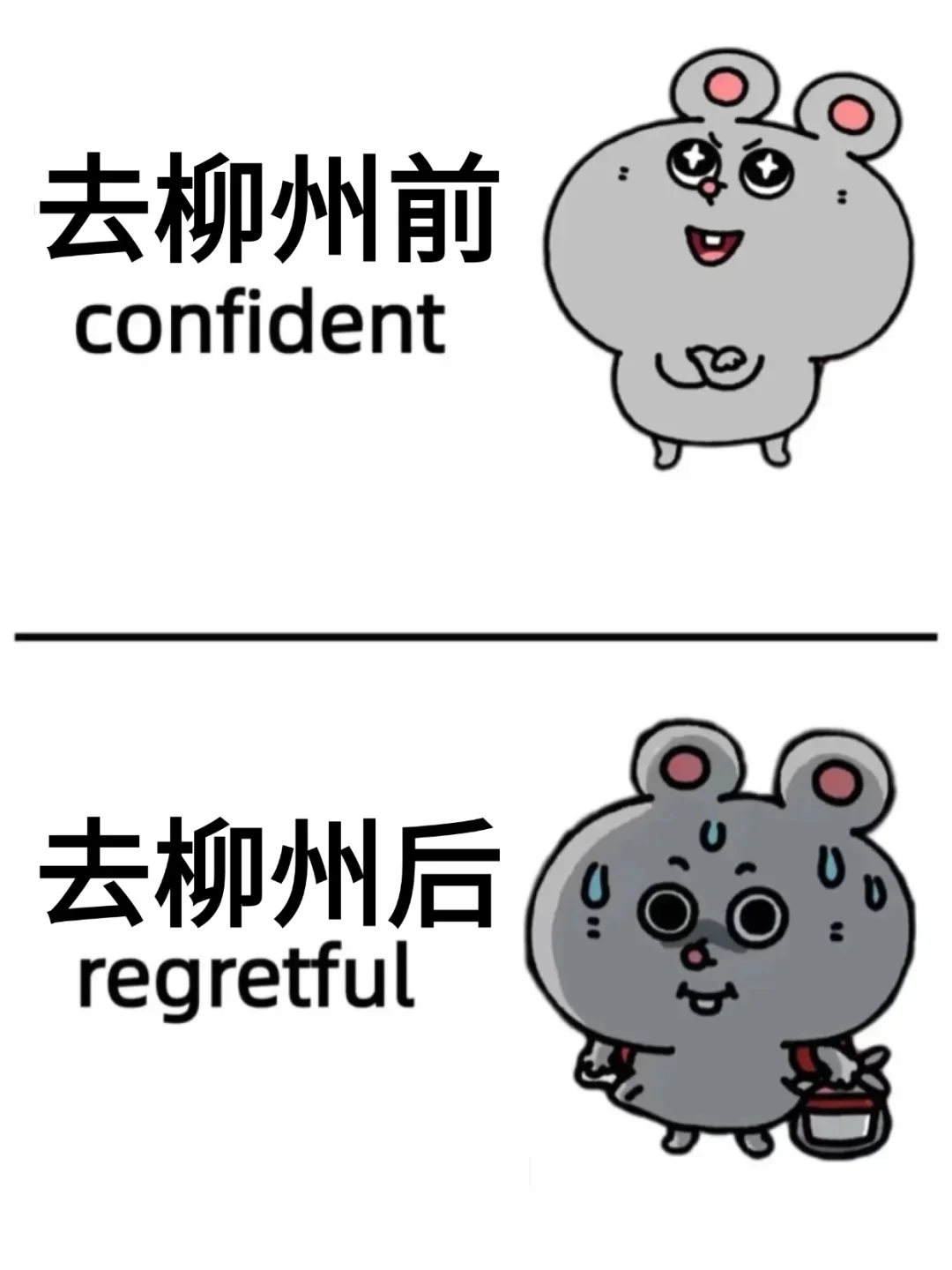 写给3-4月来柳州的姐妹👭超全避雷