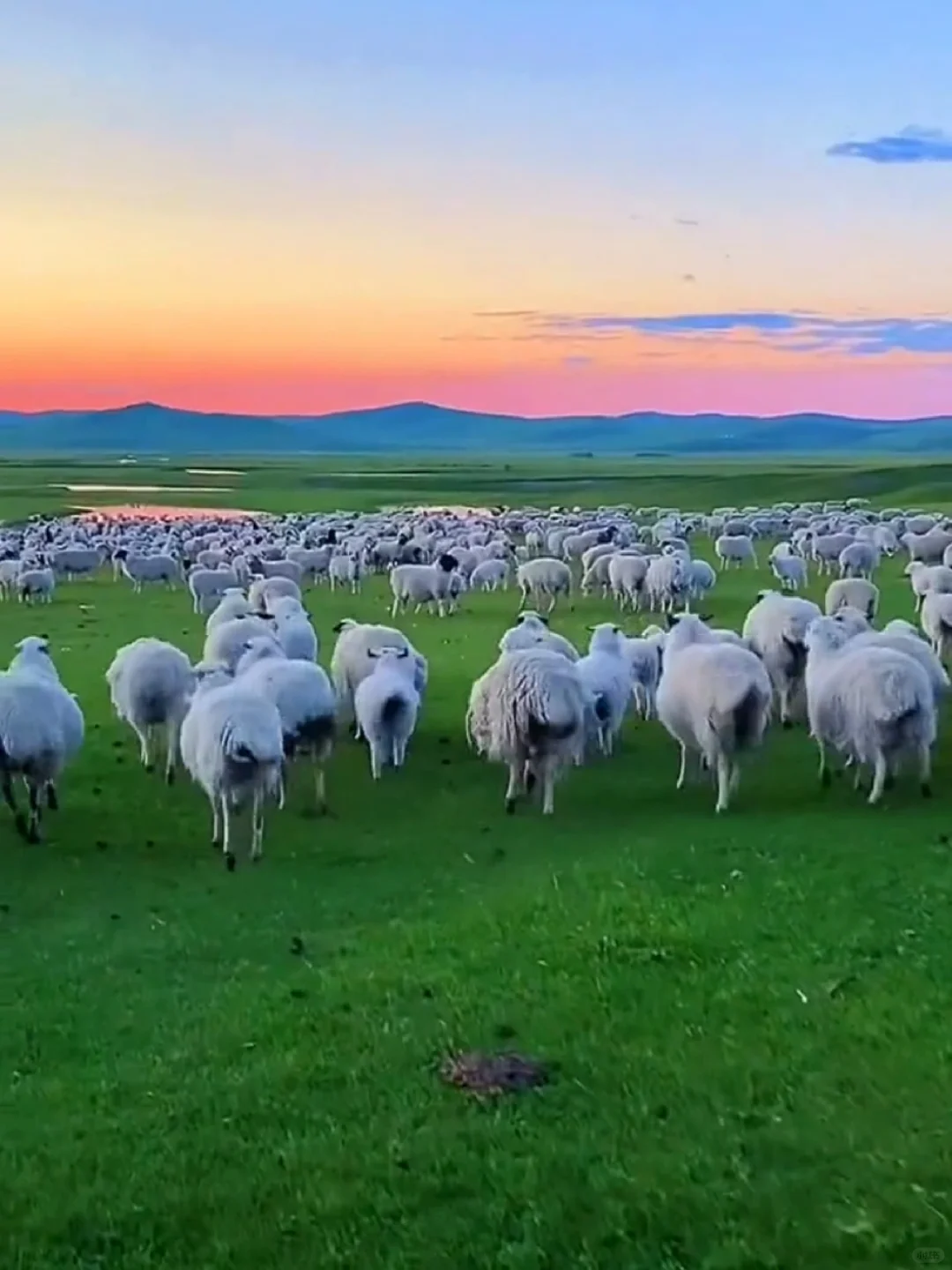 “达达线”24年被央视评为中国最美旅游路线