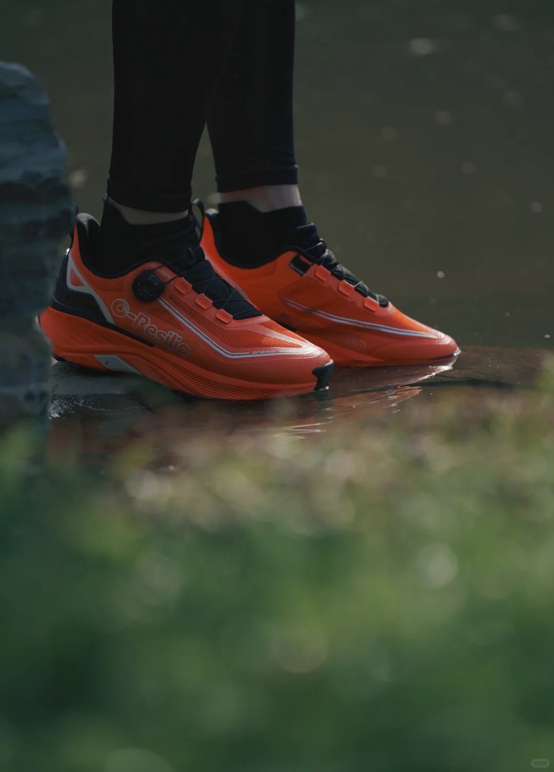 长沙十日晴！接下来是万万次的春和景明～