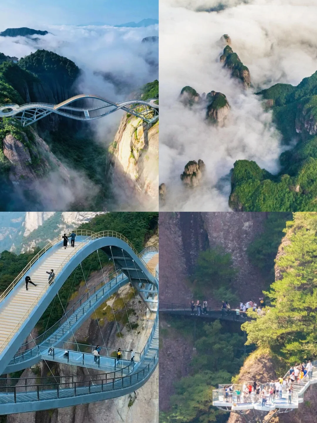 🌈台州| 3、4月来真香，山海相拥的诗意之旅！