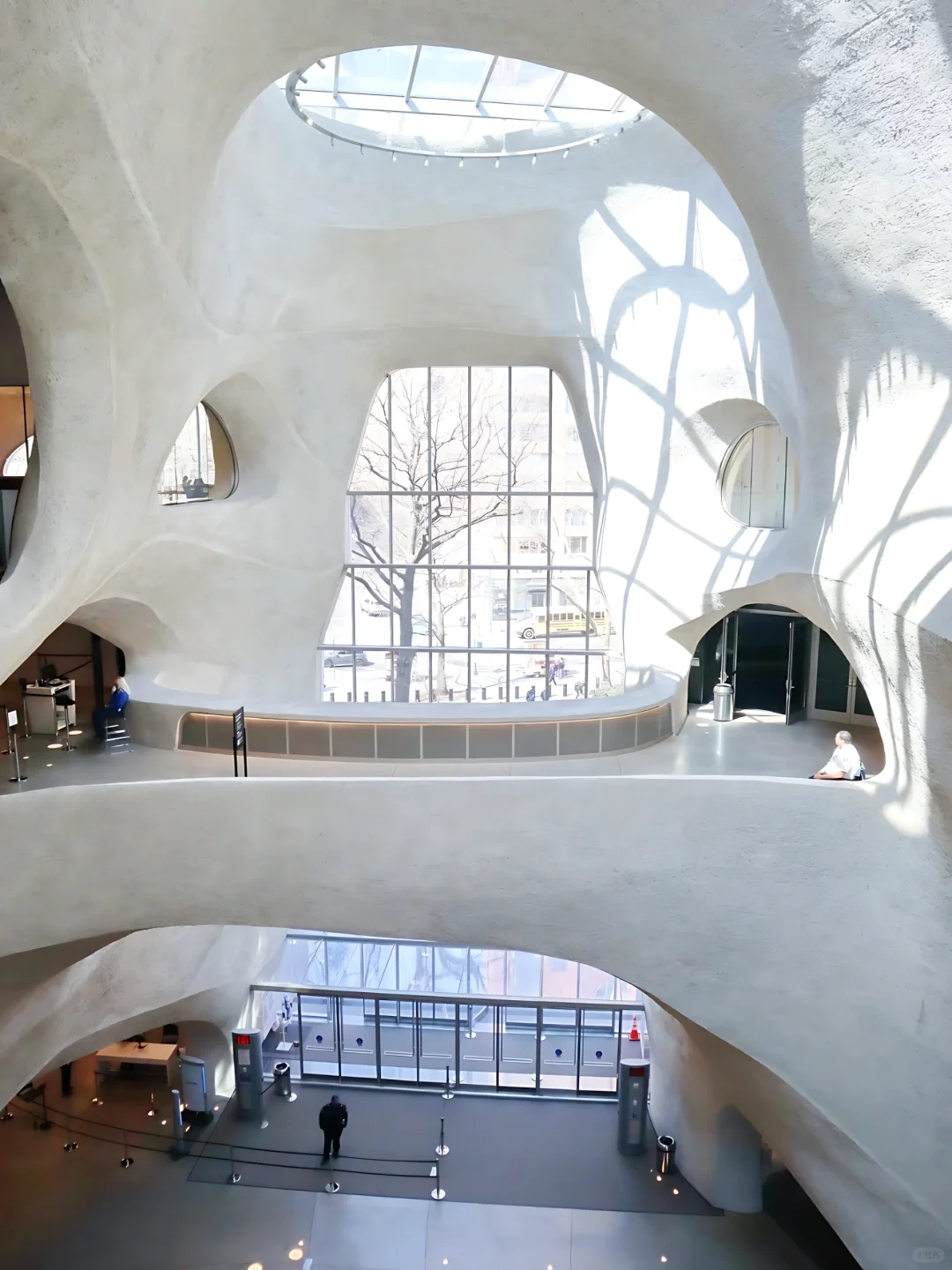 洛杉矶3月这七个免费景点!少去一个都损失