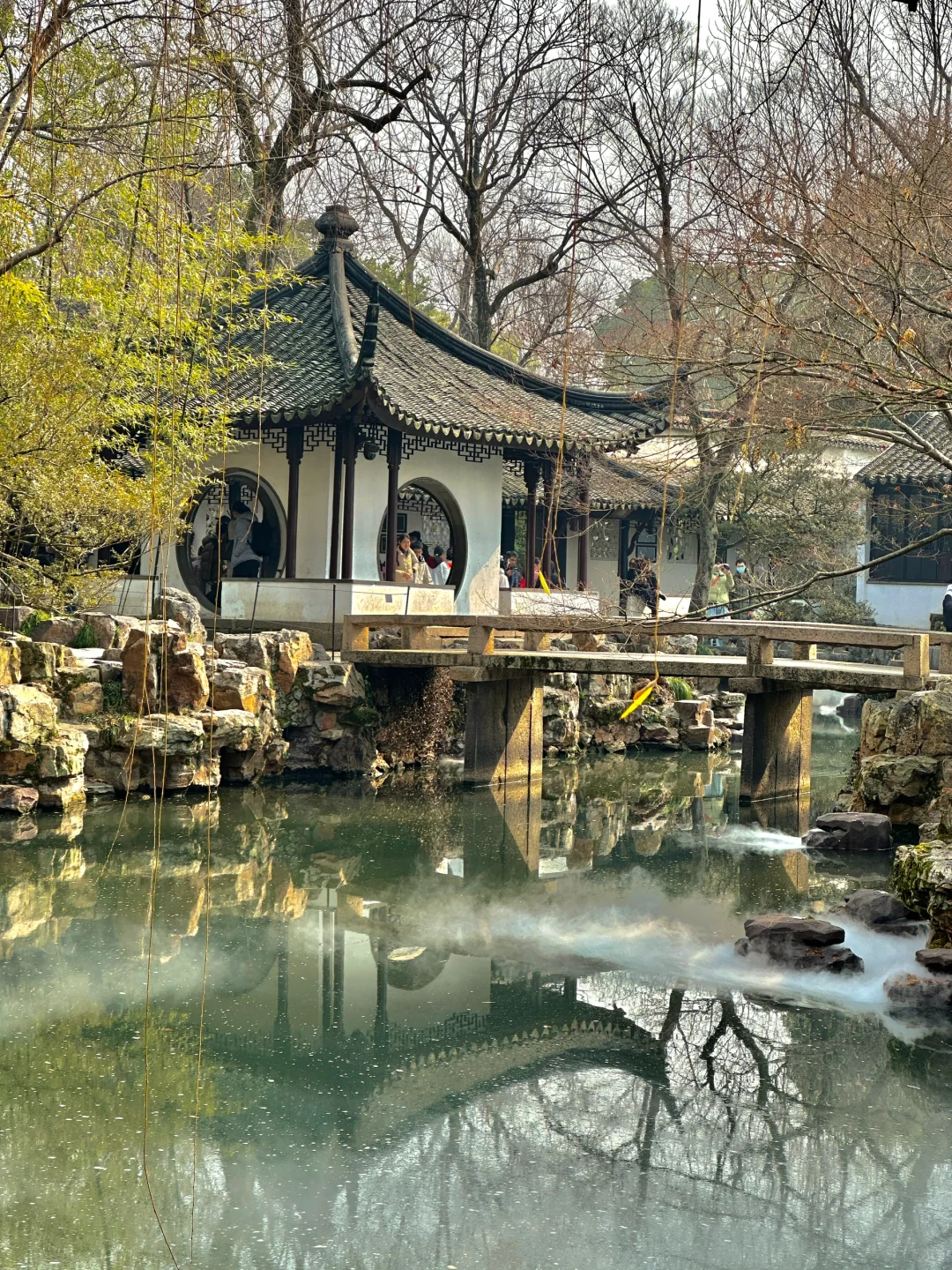 苏州！我人麻了😭