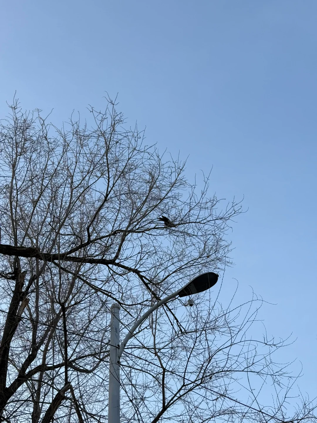 假装是游客的一下午🚶🏻‍♀️