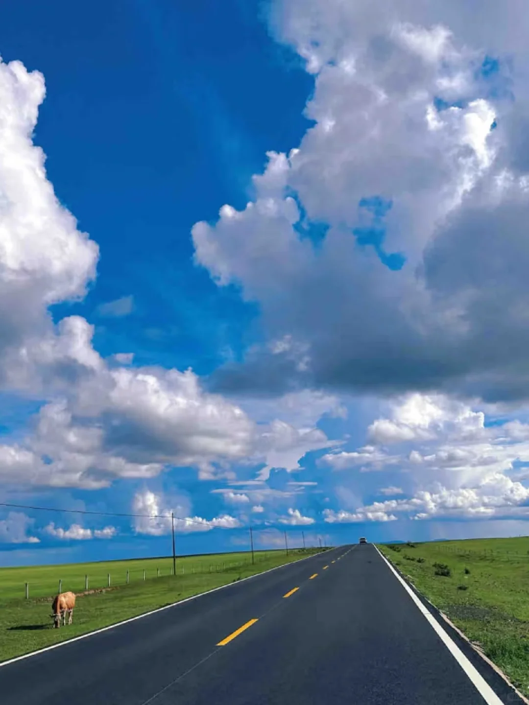 “达达线”24年被央视评为中国最美旅游路线