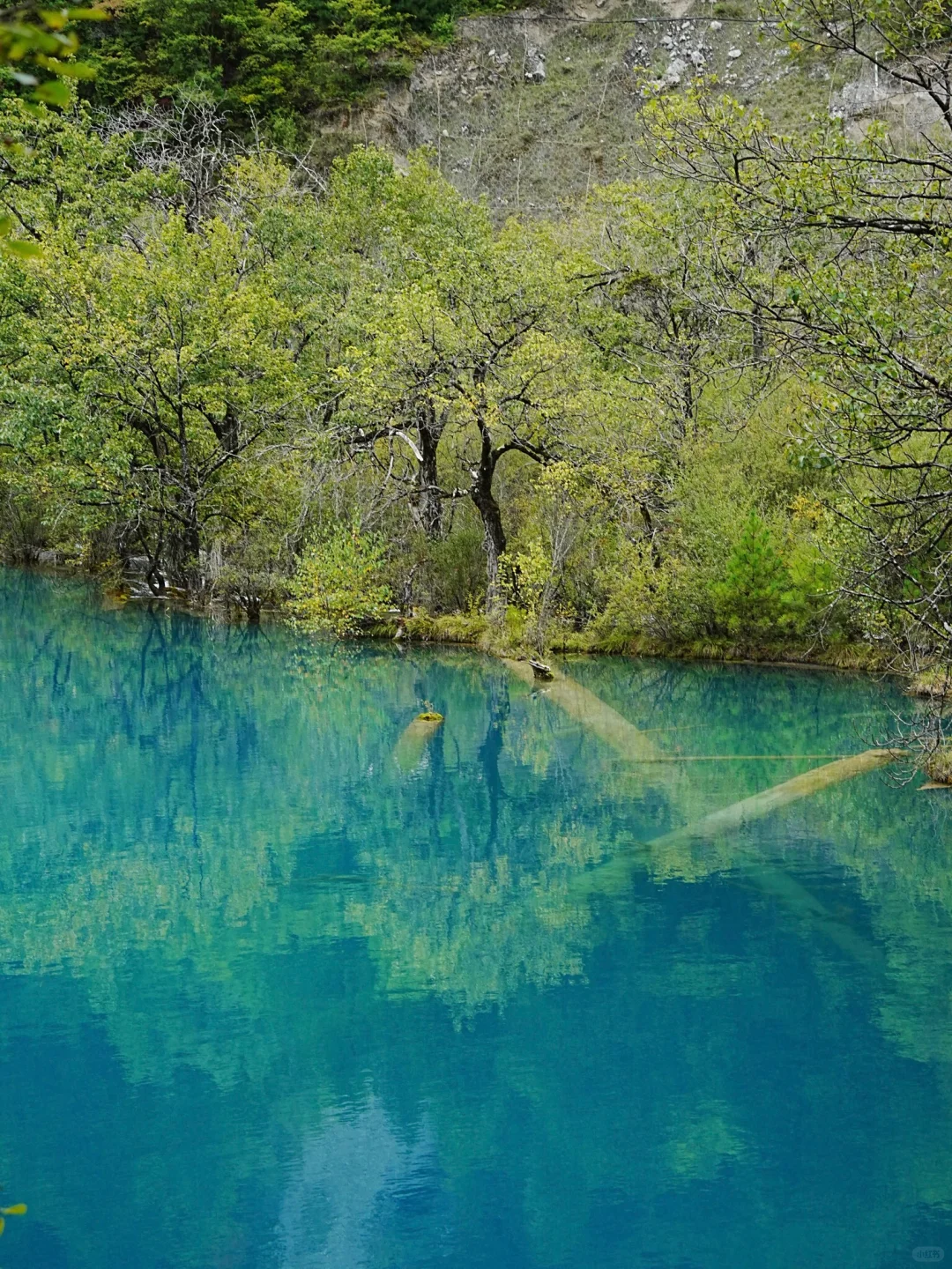 劝退不了一点，你可以永远相信九寨沟的春天
