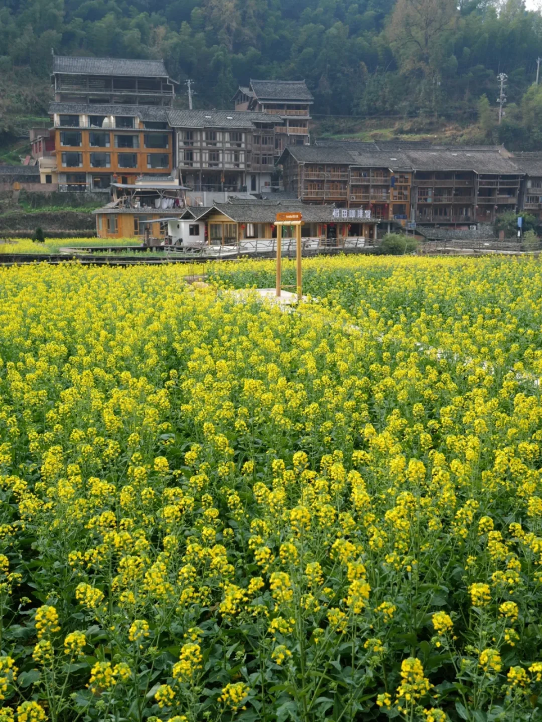 3-4月肇兴侗寨现状❗❗还没去的姐妹看过来