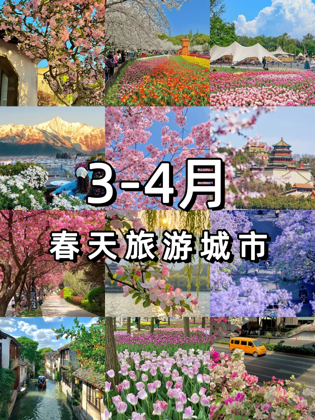 🌸3-4月旅游必看|春日城市赏花攻略