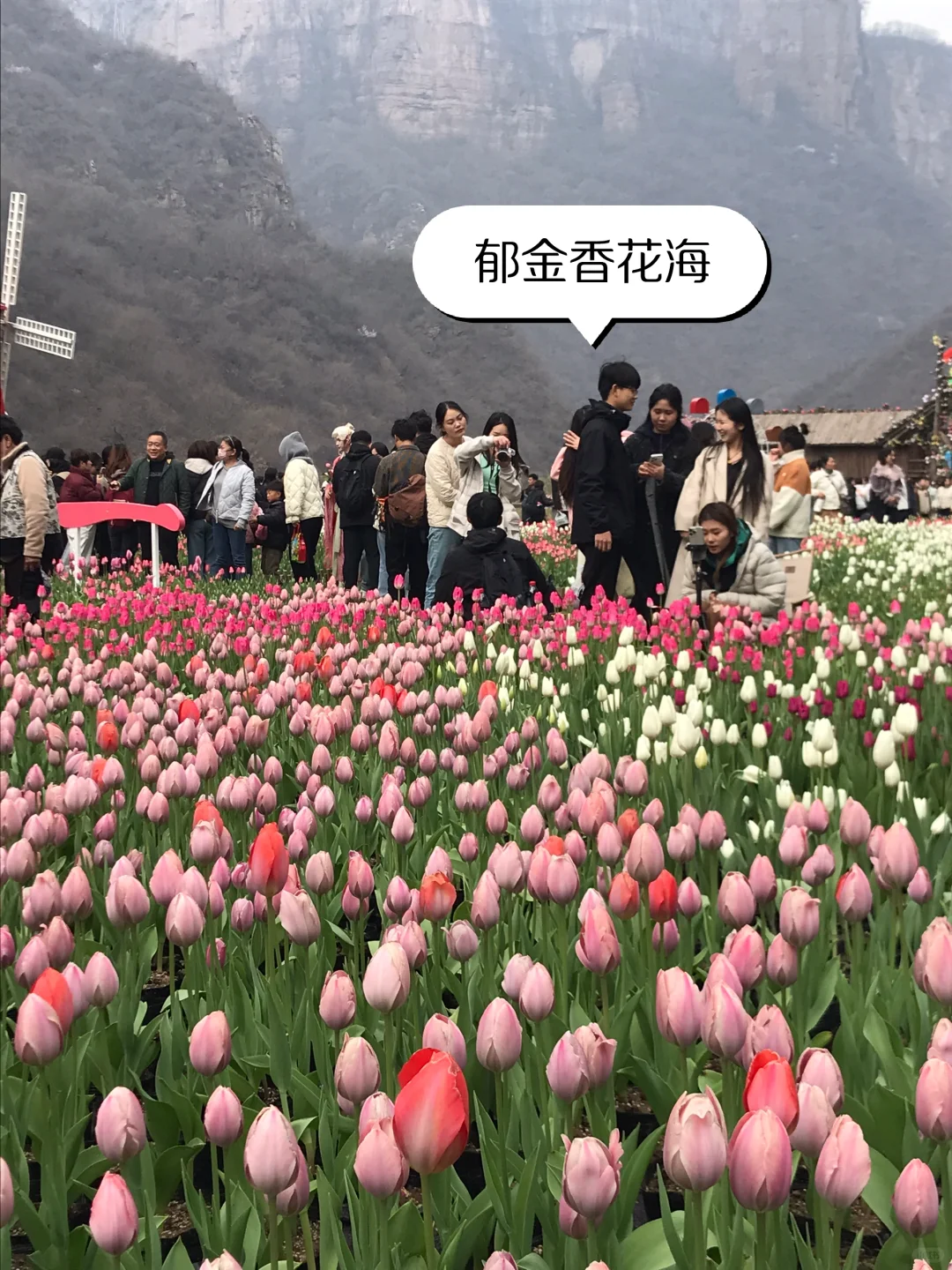 新乡宝泉一日游攻略｜太行山里的蓝眼泪！！